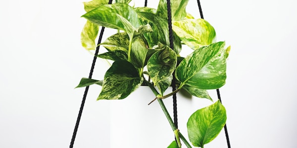 英超曼城对阵利物浦比赛精彩射门瞬间